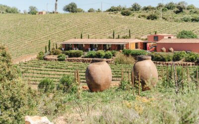 Best Algarve Wedding Venues for 2026: From Palaces to Beach Resorts