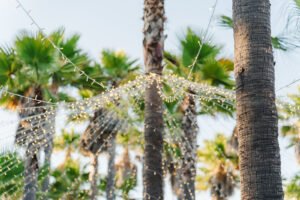 Algarve Vidamar resort wedding venue planner Vidamar resort wedding venue planner